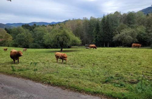 Maison de Vacances - Foto 18