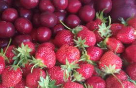 Agriturismo L'isola - Foto 18