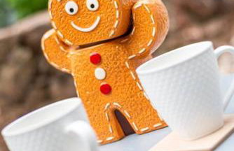 Gingerbread Lodge - Foto 6