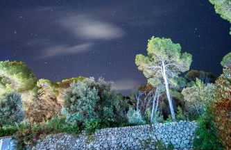 VILLA NUEVA - Foto 8