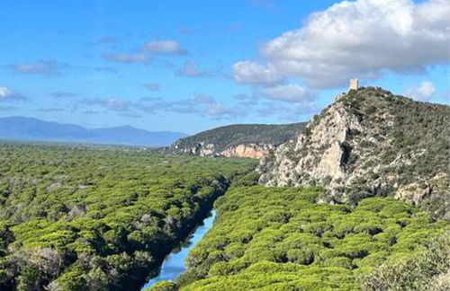 Apartment Piazzetta - Foto 9