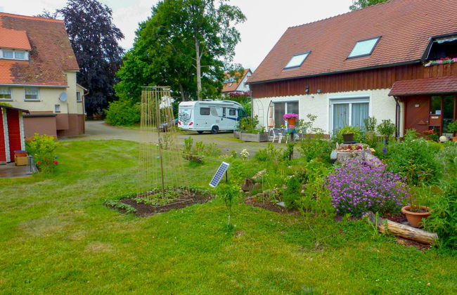 Schmetterlingsgarten - Foto 40