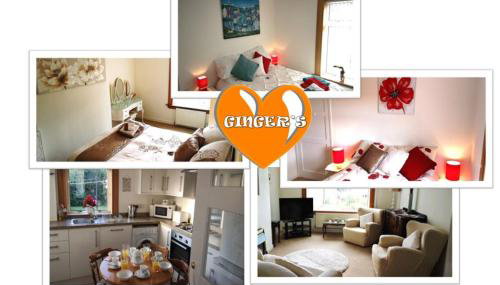 Ginger's - Photo 1