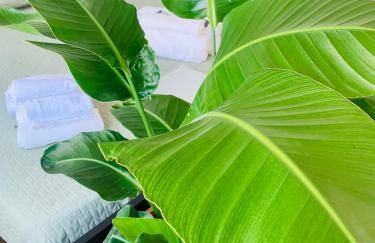 PLANT HOUSE Roma Eur - Foto 19