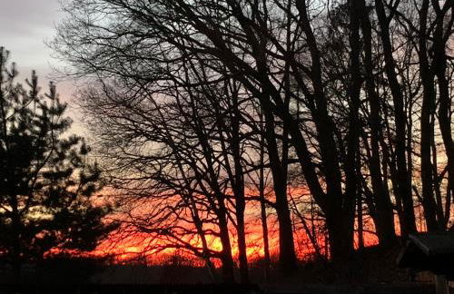 Pension Lausa - Foto 29