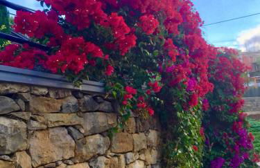 Casa Lira - Photo 46