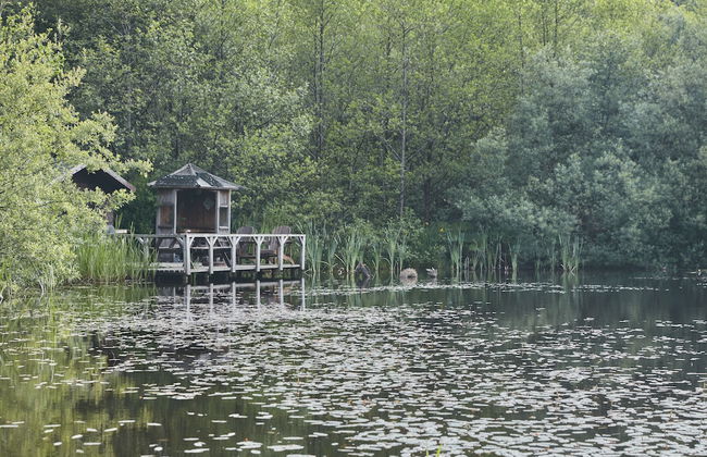 Mushroom Yurt set in 4 Acres of Woodland and Lakes - Foto 25