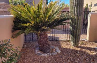 55 Plus 2-bedroom, 2-bathroom Townhouse in The Springs at Santa Rita - Foto 64