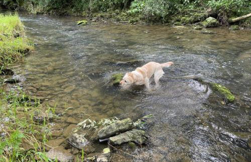Ferienhaus Chalet an der Brettach - Foto 34
