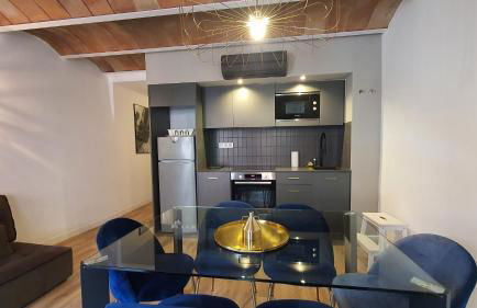 Barrio Gotico Apartments Escudellers - Foto 58