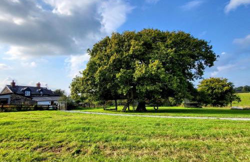 Barn End Cottage - Foto 41