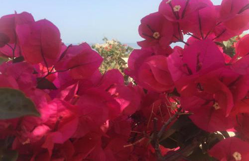 Natica Mare Villas - Foto 58