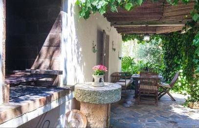 Can tronca - Foto 14