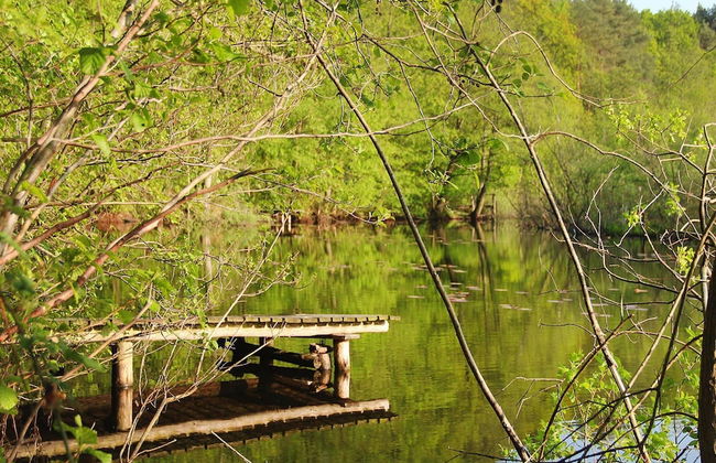 Holiday Home Kolczewo Near Baltic Sea Beach - Photo 9