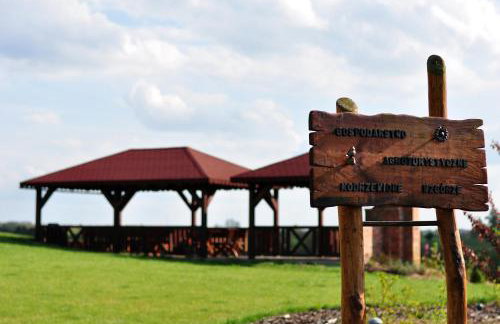 Modrzewiowe Wzgorze - Foto 1