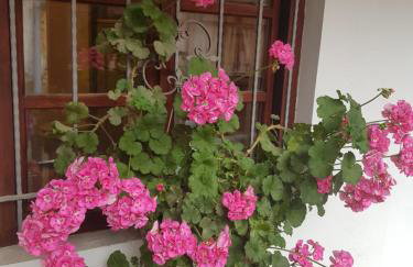 Come to M2 - Foto 12