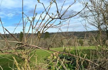 Shepherds Hut - Photo 8