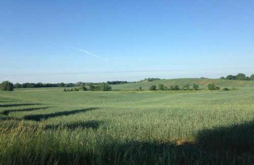 Ferienwohnung Mohnblume - Photo 28