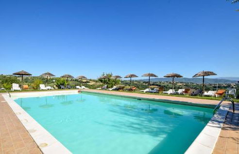 Pet Friendly Apartment - Photo 11