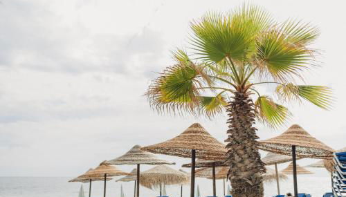 Villa Yianna - Photo 5