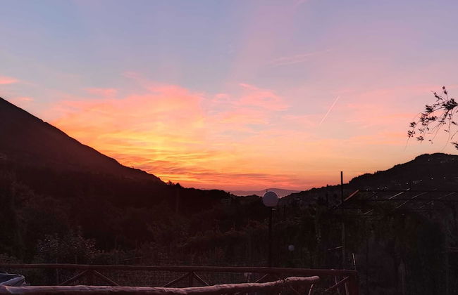 La masseria - Foto 29