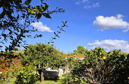 Casita Cártama casa rural jacuzzi - Foto 13