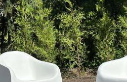 Sen Nad Jeziorakiem - Foto 14