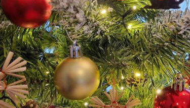 Ferienwohnung Schwarzer Kater - Foto 4