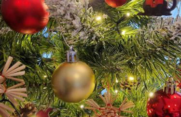 Ferienwohnung Schwarzer Kater - Foto 4