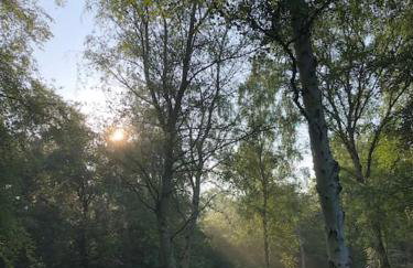 Barn Owl Lodge with Hot Tub - Adults Only - Foto 15