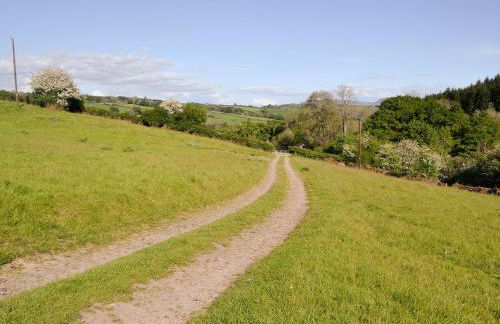 The Old Cider Mill - Foto 14