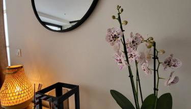 Le Patio - Appartement calme - Hyper centre Pau - Foto 3