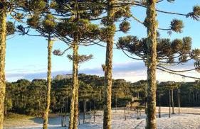 Brumas Casa de Campo - Cambará do Sul - Foto 46