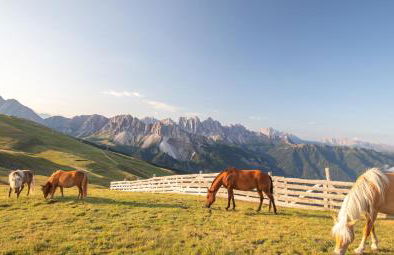 Residence Alpenrose - Foto 12