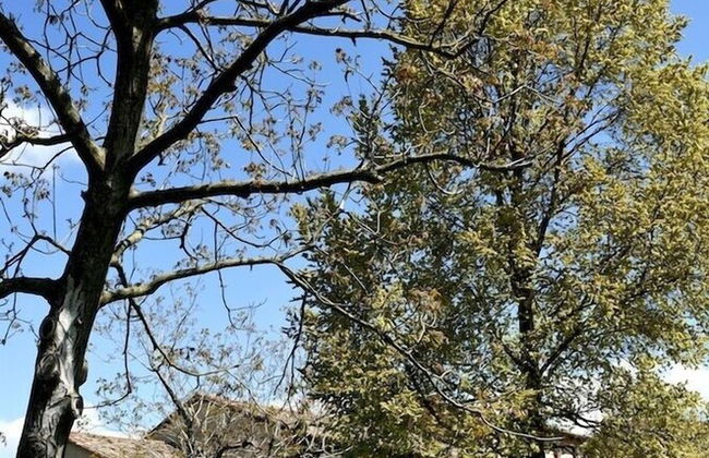 Agriturismo Ca' Roer - Foto 42