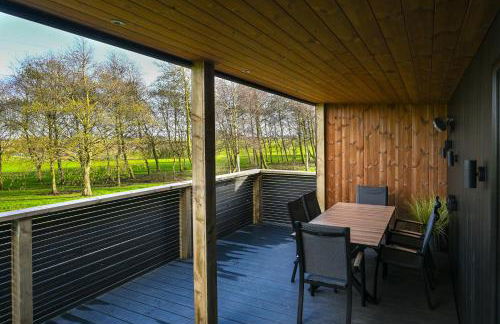 Staining Luxury Lodges - Photo 18