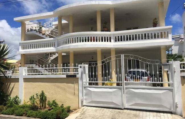 Faisan Dore - Photo 1