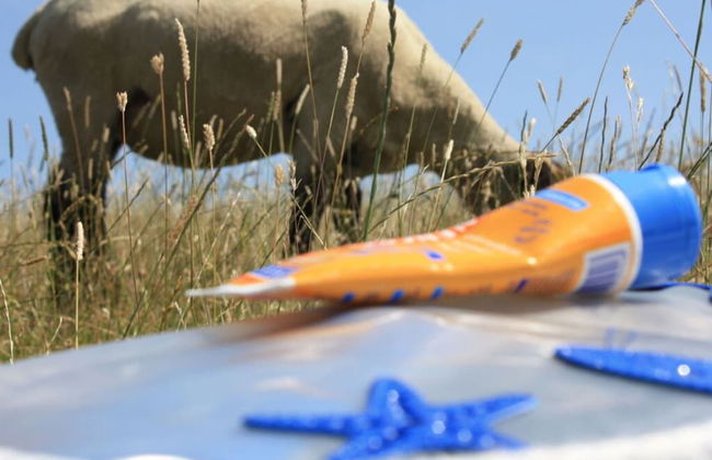 Holiday Apartment Norddeich Radio - Photo 11