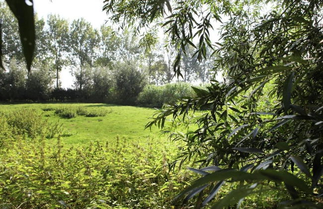 Farmhouse Home in Eede - Foto 29