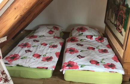 Schöne gemütliche Ferienwohnung mit Kamin II im Harz - Foto 13