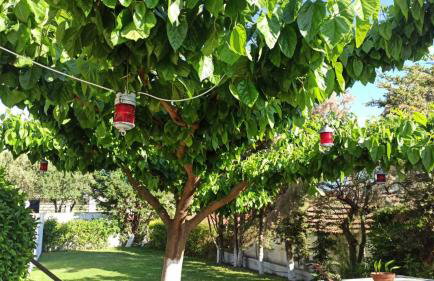 Oasis Apartments - Photo 31