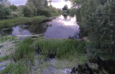 Ático Rosita en Camino de Santiago - Foto 16