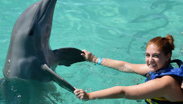 Pôr do sol em Negril e nadar com golfinhos - Foto 2