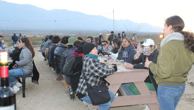 Percez les secrets des vins de la région !