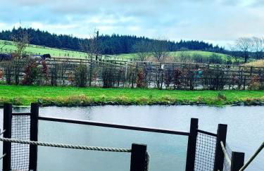 The Cabin at Forestview Farm - Foto 20