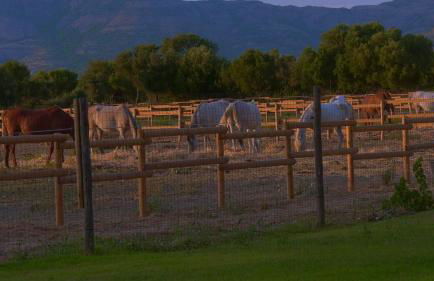 Agriturismo Santa Lucia - Foto 47