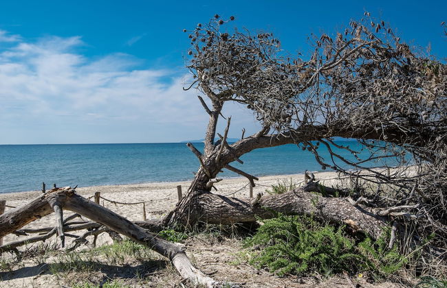 Villaggio Mare Verde - Photo 1