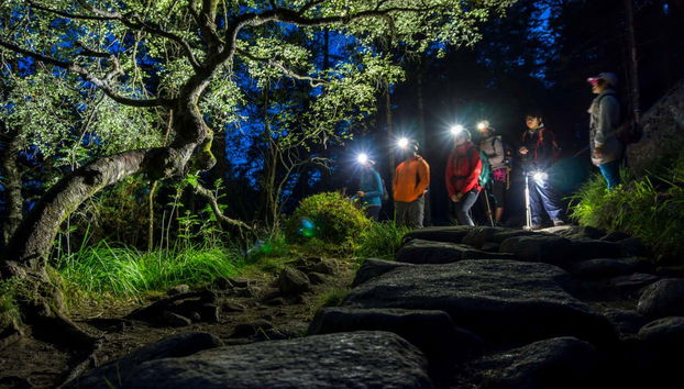 Alla scoperta dell'ambiente naturale