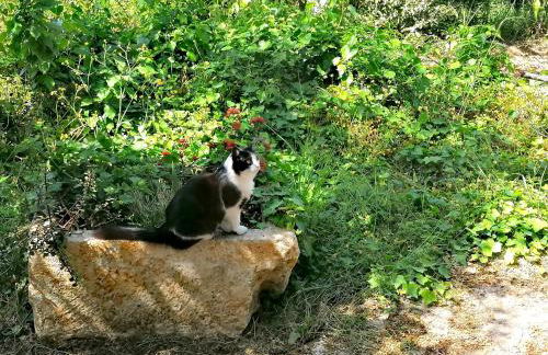 Alexander apartments - Foto 18