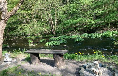 Ferienhaus Rübeland - Foto 16